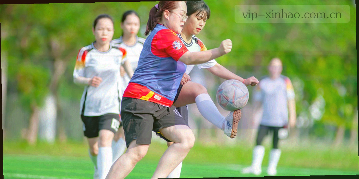 桌面端与移动端两条平行刻度线之间，编号差异区域以暖金与陶土色高亮标出